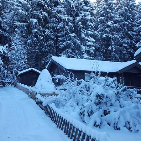 Waldsee-Ferienhaus-Mit-Kamin-W-Lan Clausthal-Zellerfeld Bagian luar foto