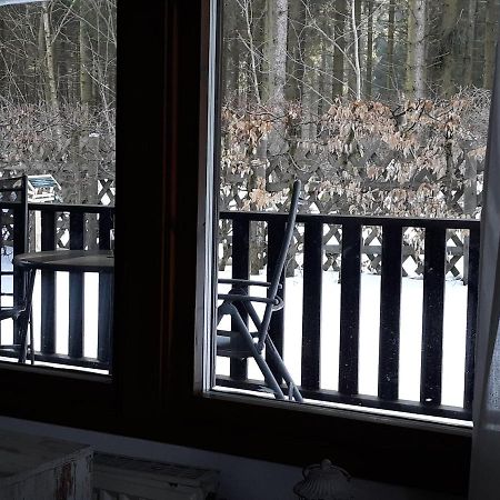 Waldsee-Ferienhaus-Mit-Kamin-W-Lan Clausthal-Zellerfeld Bagian luar foto