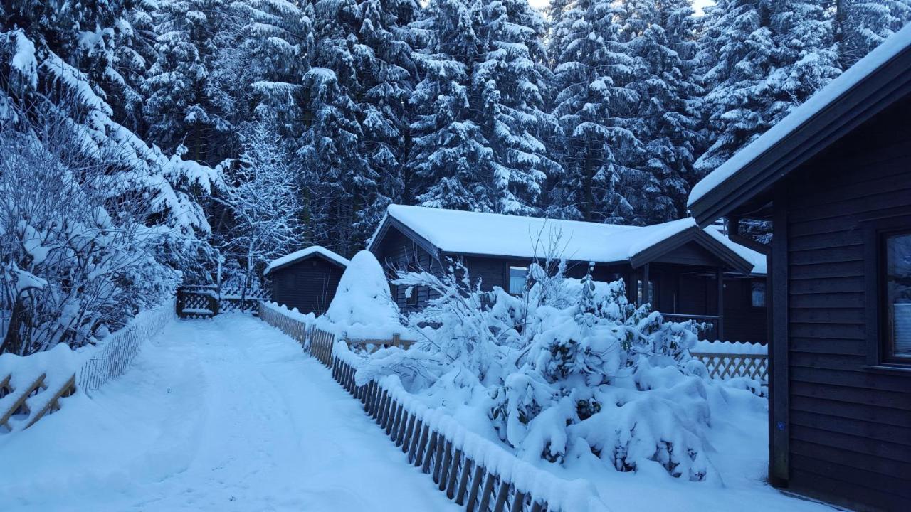 Waldsee-Ferienhaus-Mit-Kamin-W-Lan Clausthal-Zellerfeld Bagian luar foto