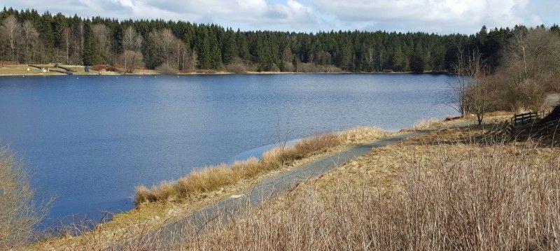 Waldsee-Ferienhaus-Mit-Kamin-W-Lan Clausthal-Zellerfeld Bagian luar foto
